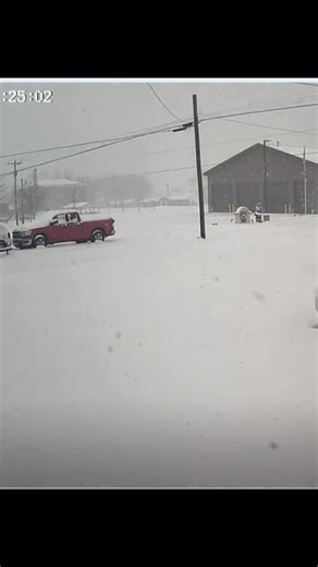 POV: When the Storm Hits Your Town 😂🌨️ Mom Said “Stay Warm & Stay Safe!”