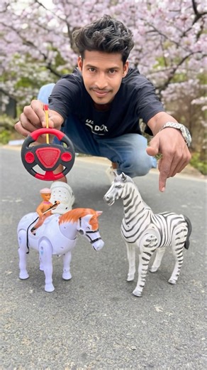 Rc Remote Wala Zebra 🆚 Rider Horse Unboxing🥹