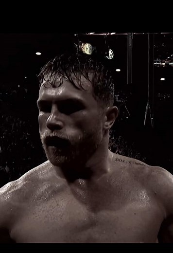Canelo Alvarez Boxing Highlights and Knockouts