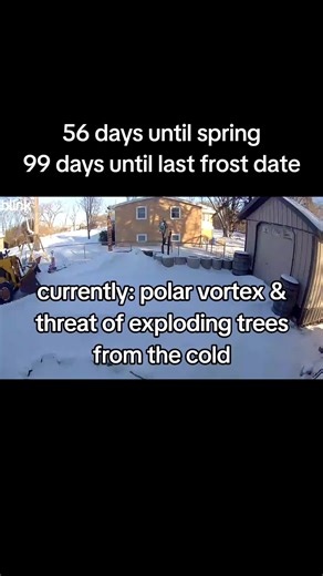 Preparing for Spring: Firewood, Bakery Move, and Cold Weather Challenges