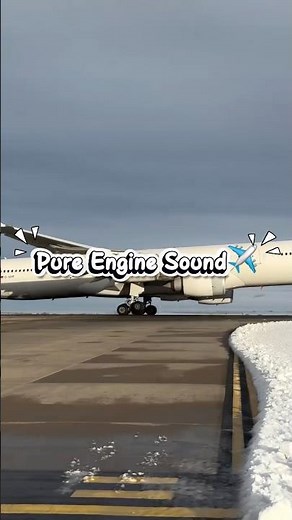 Airbus A340 Landing ✈️ Engine Sound On