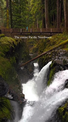 5.3K views · 133 reactions | Is the PNW the best hiking area in America? #pnw #pnwhiking #pacificnorthwest | The National Park Travelers | Facebook