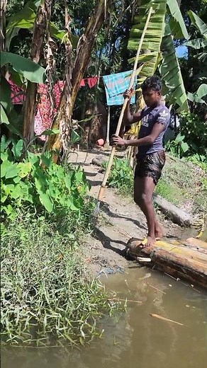 ​Spear Fishing Huge Snakehead Fish in Deep River!