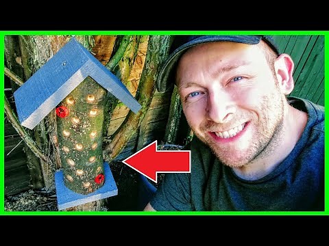 How to make a Ladybird Hotel Insect Tower for your Garden