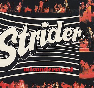 Strider - Misunderstood