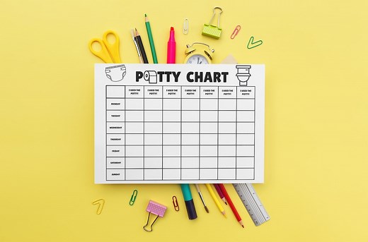 Toddler Potty Training Chart Minimal and Simplistic Design, Easy to Track, Printable Chart, Gender Neutral Potty Reward Chart - Etsy