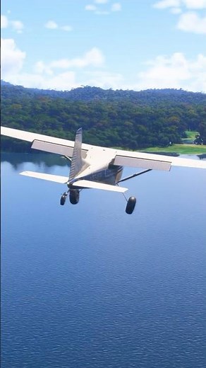 Cessna 185 Jungle Bush Landing #msfs2024