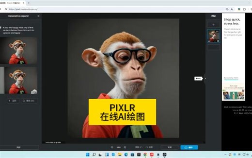 PIXLE在线AI绘图网站