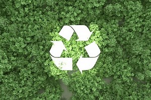 Trees growing behind a ecological sustainable icons, concept of ideas, recycling responsibly to reduce c02 and the climate crisis we protect earth and resources no pollution more esg