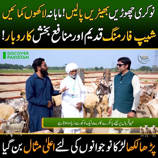 481K views · 9.2K reactions | #business #agricuture #businessgrowth #businesssuccess #farmers #agribusiness #businesstips #BusinessOpportunity #livestockfarming #livestock نوکری سے بہتر اپنا کاروبار ہوتا ہے ۔۔۔ AGRI- FORUM | AGRI- FORUM | Facebook