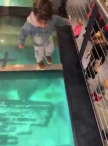 86K views · 2.8K reactions | Uy quieto | Phone Solutions | Facebook