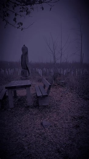 VintageLoop (@vintageloop23)’s videos with original sound - seancehollow