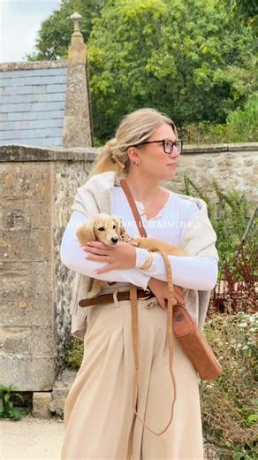 23K views · 15 reactions | The dog walk accessory you didn’t know you...