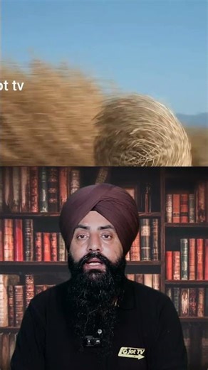 The Fascinating World of Tumbleweeds: Nature's Rolling Wonders