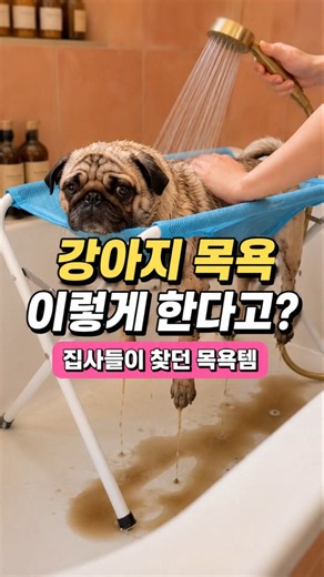 A Brilliant Invention for Dogs That Try to Escape During Bath Time