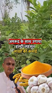 42K views · 5.4K reactions | खेती के इस model से लाखों में कमाई | Gaon Junction LIVE [Agriculture, farming, farming tips, intercropping, multicropping, agriculture business model] पूरा वीडियो देखने के लिए गाँव जंक्शन के यूट्यूब चैनल पर जायें, लिंक bio में है | Gaon Junction | Facebook