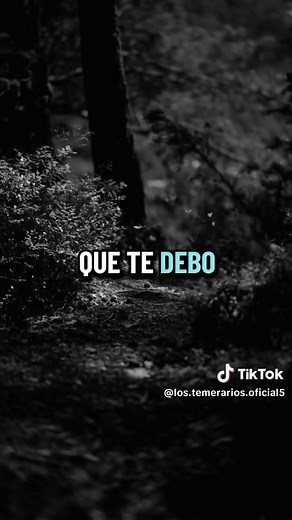 Los Temerarios canciones y videos más buscados