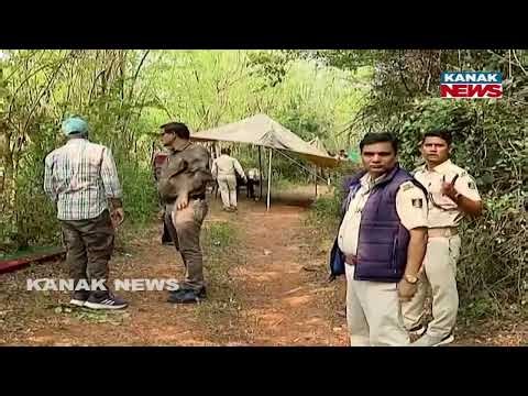 Chandaka Elephant Death: Autopsy Underway, Wildlife & Veterinary Teams Deployed