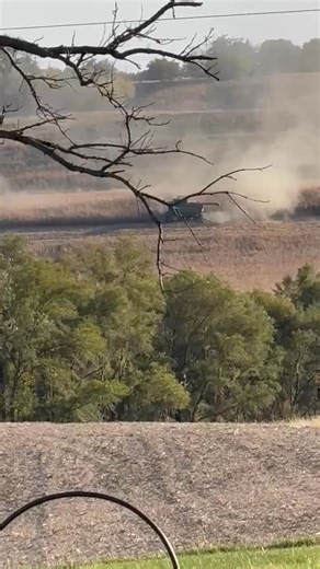 Corn Harvesting across the section! Be safe farmers! | Kevin Hartvigsen