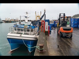 From 0 to 100 in a single shot.