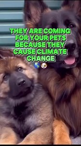 ✅We have uploaded very important information to our select group , ✅Information is power, subscribe https://www.facebook.com/wakeupchannel7/subscribenow | WAKE UP Channel 2