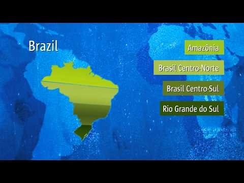 The Marist Life and Mission in the World