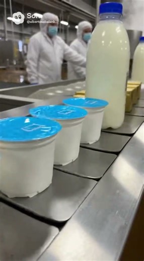 Fully Realistic Milk Processing Factory From Raw Milk to Packaged Dairy