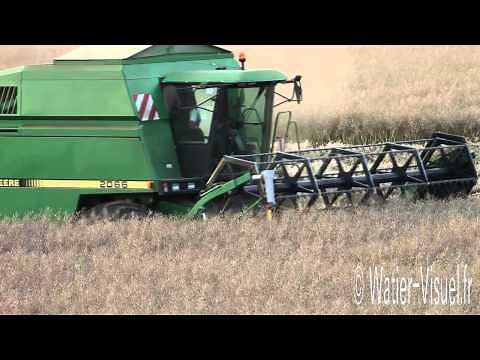 Moisson de Colza hybride avec une moissonneuse batteuse John Deere 2066