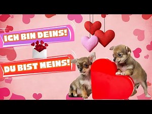 Valentinstag Song | Liebeslied auf Deutsch mit Text | Valentine’s Day song in German