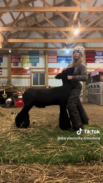 Complete Barn Tour Featuring Rabbit Area Insights