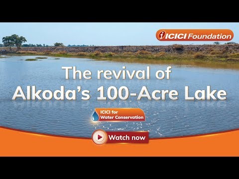 The revival of Alkoda’s 100-acre lake