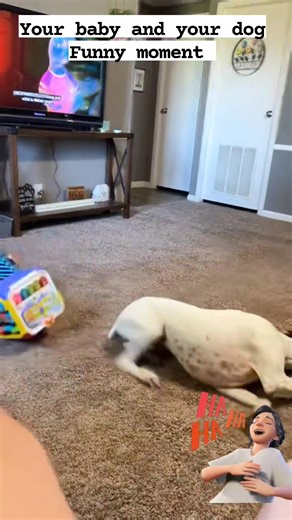 Nakakatawang moments ng baby at ng aso, Hehege... #fbreelsfypシ゚ #foryoupagereels #funnyreelsvideo #foryoupageシ #foryouシ #funnymoments #funnyreels #animalslover #dog #funnyvideos #funny | N R Blade Acijom