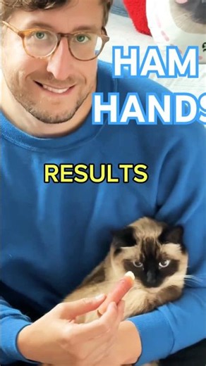 Why to NOT play this game with cat,, lmoa #bagagwa #catsofyoutube #worldcup #summer #viral #shorts