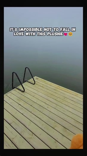 The Original Hidden Plushie on Instagram: "Cutest Cat Plushie Ever? 🥹💘 #cute #plush #plushie #plushies"