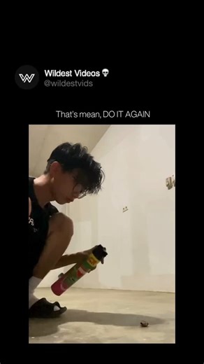 Wild | Weird | Funny 🔌 on Instagram: "The news is that the baygon is still on until now☺️ Talk about an over-the-top extermination! While that flaming cockroach moment might be visually shocking, using an aerosol like Baygon as a "flamethrower" is incredibly dangerous and should never be copied. Here’s the science: aerosol cans use flammable propellants (often hydrocarbons like propane or butane) to push the liquid out. When this fine mist of propellant hits a heat source, it rapidly combusts, 