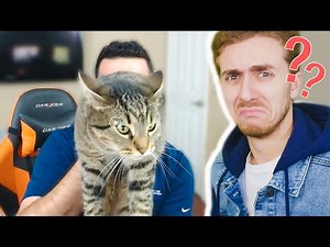 QU'EST-CE QUI POURRAIT MAL SE PASSER ?