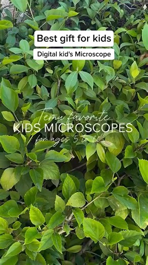 🔬 Discover Your Own Microscopic Masterpiece ✨ Explore the hidden universe of everyday nature with The DigiScope , a microscope that is more than just a toy—it's a gateway to scientific wonder. This beginner-friendly adventure is designed for curious young minds. 🌿 Your Kit Includes: ✔️ Built-in digital camera and protective carry strap ✔️ Step-by-step guide with sample slides included ✔️ USB cable for computer connection and image transfer 📏 Specifications: Magnification: 50x - 200x Storage: 