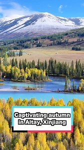 🌄Welcome to Altay, a region in northwest China's #Xinjiang that just entered its best viewing period of the year – #autumn. #BeautifulChina | Discover China
