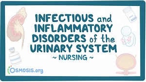 Case study - Pyelonephritis: Nursing: Video & Causes | Osmosis