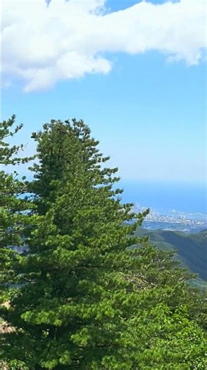2026.06 설악케이블카 정상