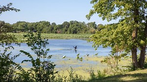 1.6K views · 51 reactions | "Life is easier than in the big cities, and there are lots of jobs. It’s a nice place to raise a family.” - Juma Shabani, Shift Supervisor - Amana Operations #PlacesThatMatter #MFGMatters #MFGDay19 | Whirlpool Corporation | Facebook