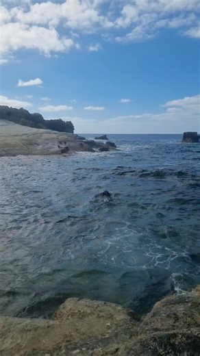 New play time for Tyson today In deep end , he loves it x | Alan Thompson