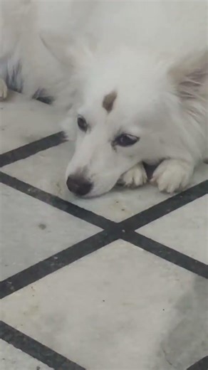 Ruby with in memory ##shorts