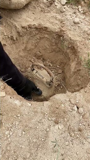 moment finding #metaldetecting #treasuretrove