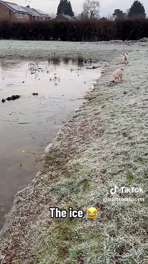 Barstool Sports (@barstoolsports) - Hilarious Ice Ball Drop Fails