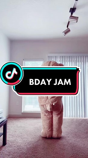 Birthday Bear Dancing Celebration