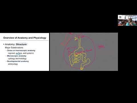 Human Anatomy and Physiology, Chapter 1_ The Human Body:An Orientation_Part 1