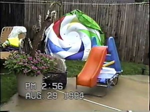 1994 | Cats Around the Pool, Party, and Baby Shower