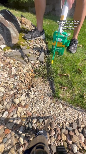 If you hate the dreaded chore of picking weeds, don’t worry…Spruce, the hard-working, worry-free Weed & Grass Killer gets the job done with visible results in as quickly as 1 hour! | Spruce