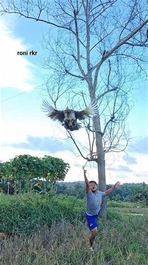 unique way of catching on tree branches #nature #shortvideo #viralvideo